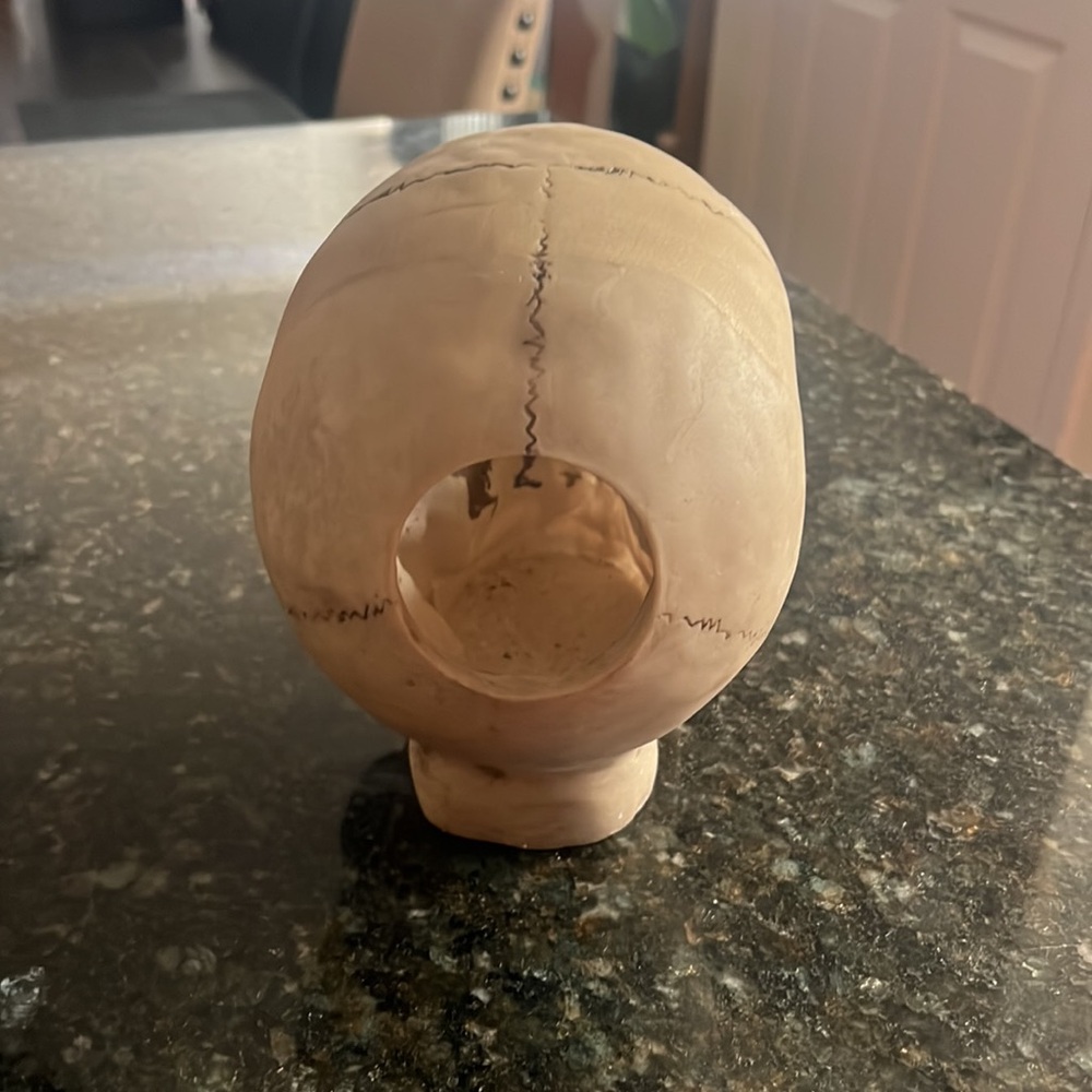 Ceramic skull - Picture 3 of 3